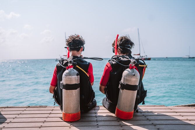 Half-Day Aruba Intro Diving Course for Beginners - The marine life and the shipwreck appeal