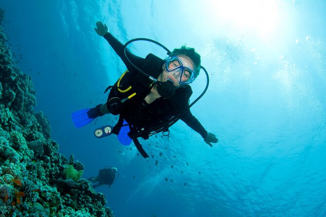 Half day boat diving experience for beginners in Kos Greece - Key points to know before you book