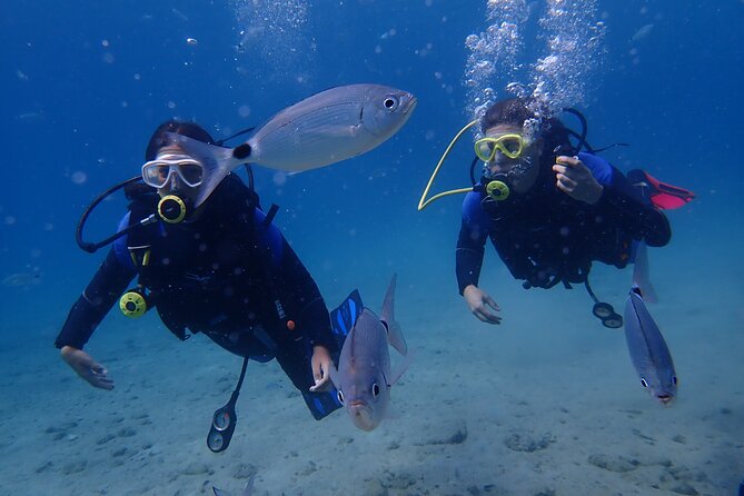 Half day boat diving experience for beginners in Kos Greece - Snorkeling first can settle your nerves