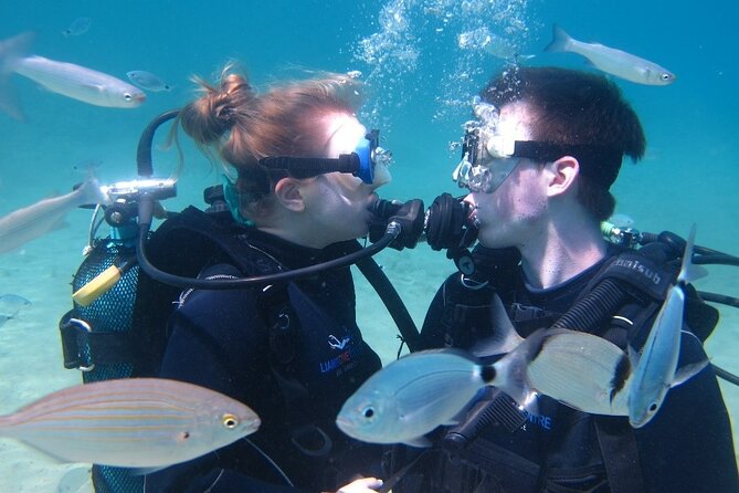 Half day boat diving experience for beginners in Kos Greece - What the price includes, and what it does not