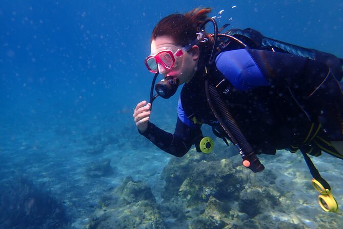 Half day boat diving experience for beginners in Kos Greece - Who will get the most from this Kos boat trip