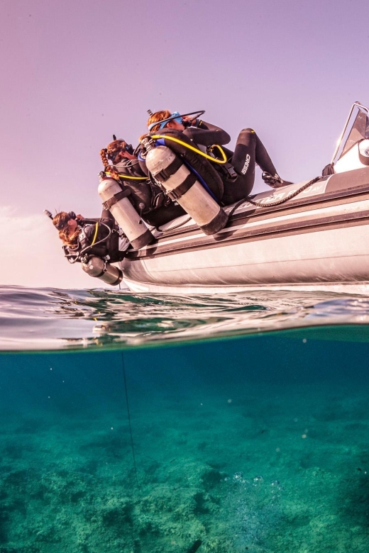 Half Day Dive Trip for Certified Divers - Starting at the Chania Dive Center
