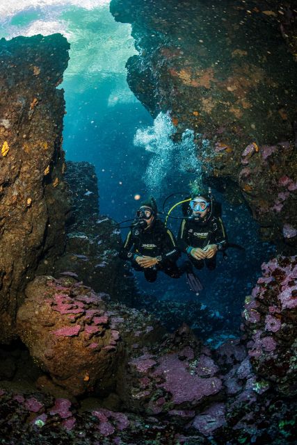 Half Day Dive Trip for Certified Divers - The Surface Break Between Sites