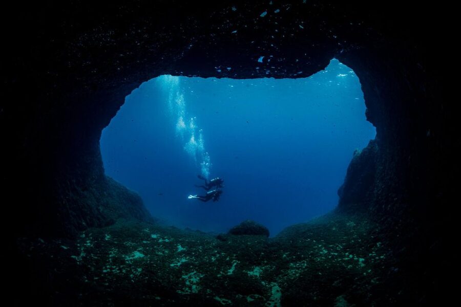 Half Day Dive Trip for Certified Divers - The Second Site and the Ride Back