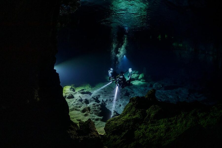 Half Day Dive Trip for Certified Divers - What the $147 Price Really Covers