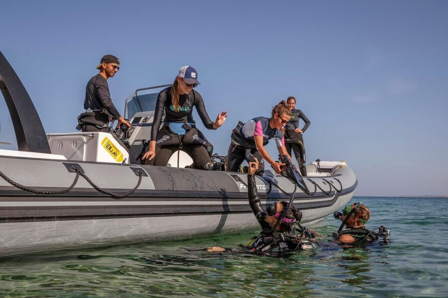 Half Day Dive Trip for Certified Divers - Who Will Enjoy This Scuba Morning?