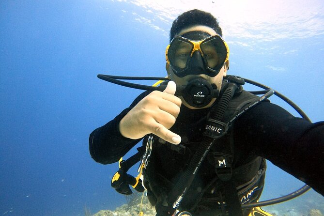 Half Day Diving adventure with Transportation Included - Key Points to Know Before You Book