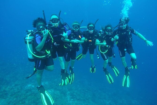 Half Day Diving adventure with Transportation Included - Why Curaçao Works So Well for Shore Scuba