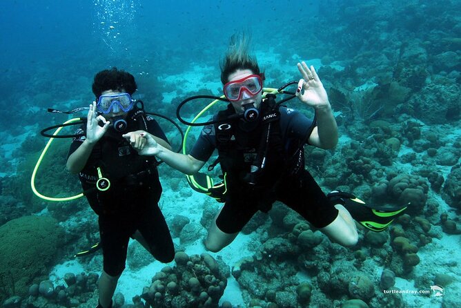 Half Day Diving adventure with Transportation Included - Who Should Book This Curaçao Scuba Trip?