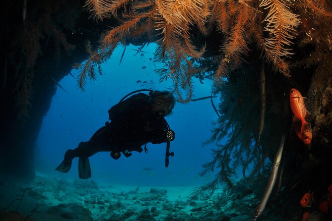 Half-Day Diving in Sal - Key points to know before you book