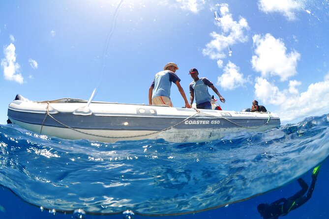 Half-Day Diving in Sal - Safety, certification, and health checks