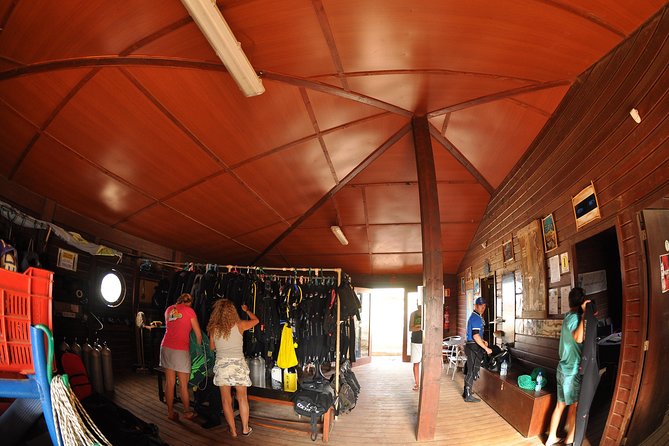 Half-Day Diving in Sal - Marine life, walls, caves, and wrecks
