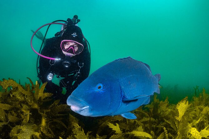 Half-Day Private Discover Dive at Australia's Iconic Beach - What the Classroom Portion Covers
