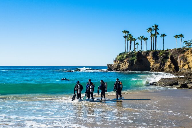 Half-Day Private Discover Dive at Australia's Iconic Beach - Is $376.55 Good Value for Two?