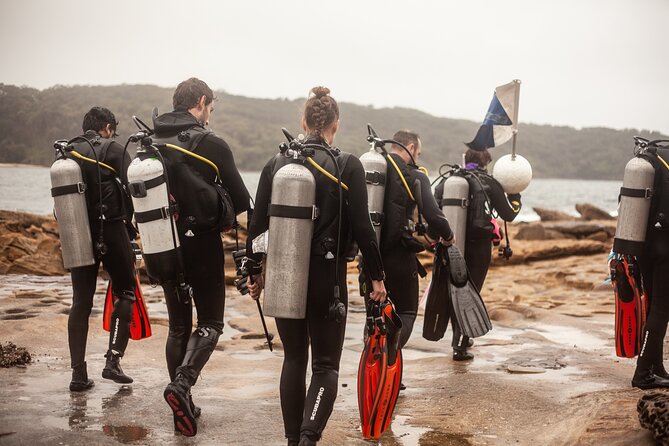 Half-Day Private Discover Dive at Australia's Iconic Beach - Practical Details Before You Book