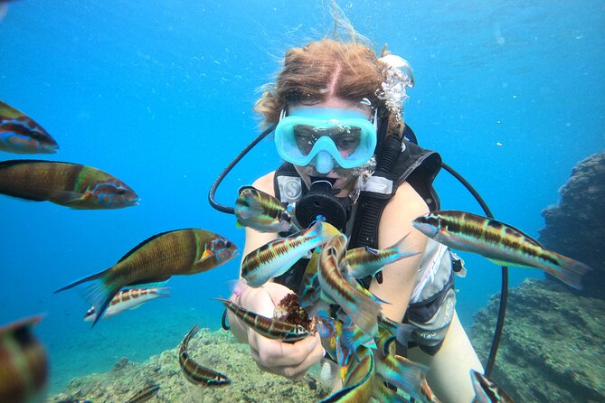 Half Day Scuba Diving @ Duden Waterfalls - Two underwater locations for experienced participants