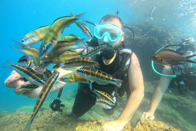 Half Day Scuba Diving @ Duden Waterfalls - Who will enjoy this outing most