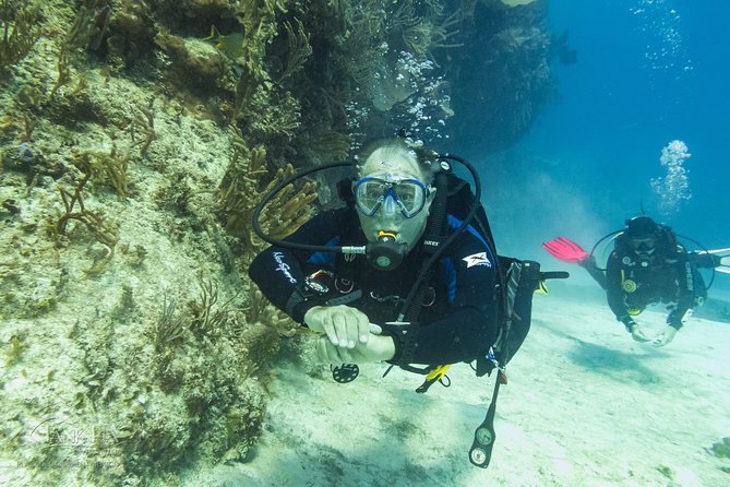 Half-Day Scuba Diving in Playa del Carmen for Small-Group - The second reef and the wildlife watch