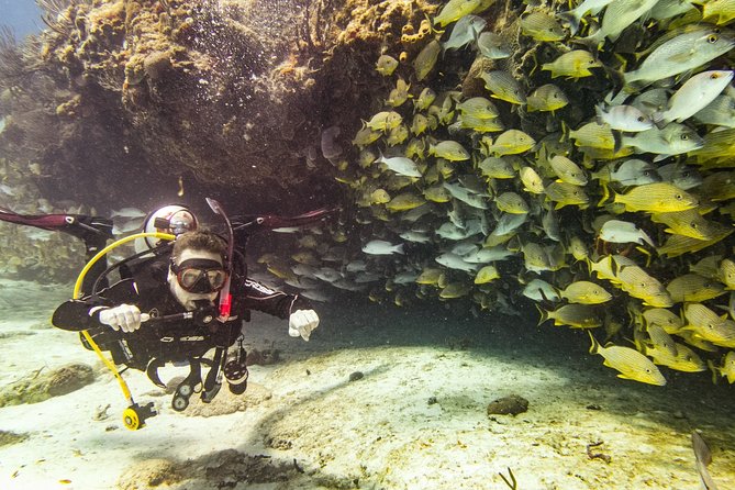 Half-Day Scuba Diving in Playa del Carmen for Small-Group - What the guides add to the experience