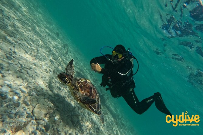 Half-Day Scuba Diving Tour - Discover Scuba Diving! - Why This Paphos Scuba Session Works for Beginners