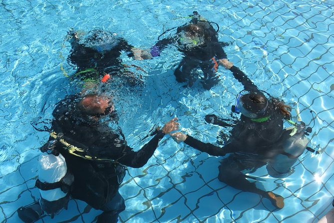 Half-Day Scuba Diving Tour - Discover Scuba Diving! - The Roman Wall: An Easy Sea Introduction