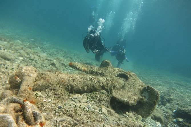 Half-Day Scuba Diving Tour - Discover Scuba Diving! - Practical Details That Can Affect Your Day