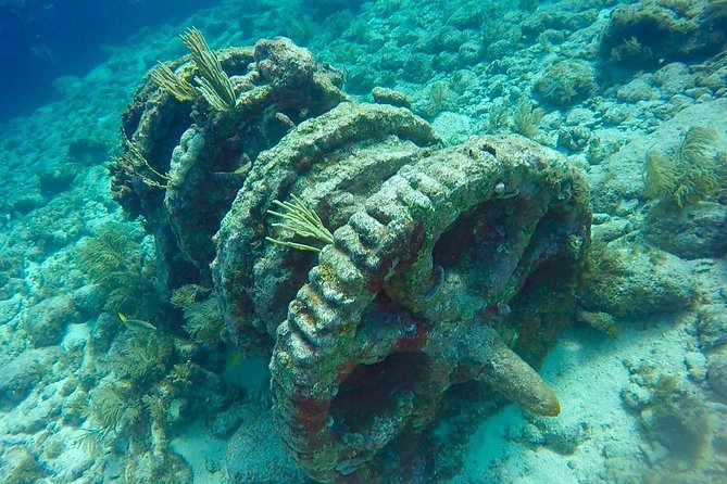 Half Day Scuba Diving Trip in the Florida Keys - Why this half-day trip works in Key Largo