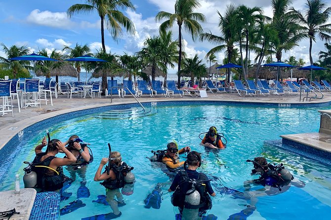 Half Day Scuba Diving Trip in the Florida Keys - Is $115 a fair price?