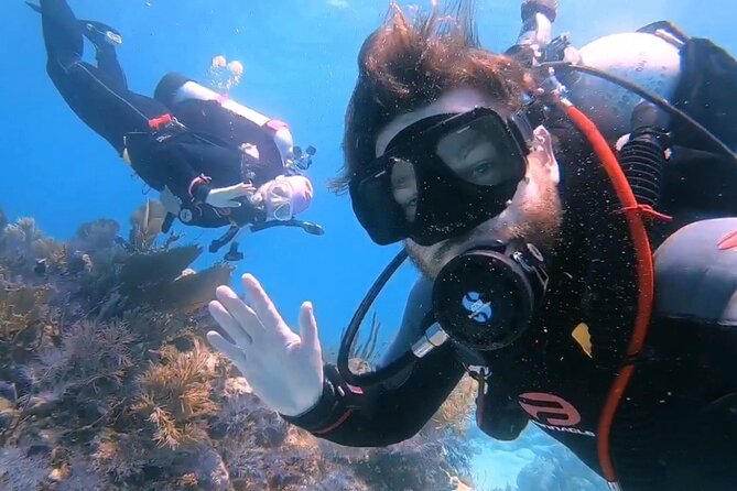 Half-Day Small-Group 2-Tank Scuba Dive in Key Largo (CERTIFIED DIVERS ONLY) - The Second Session at Molasses Reef