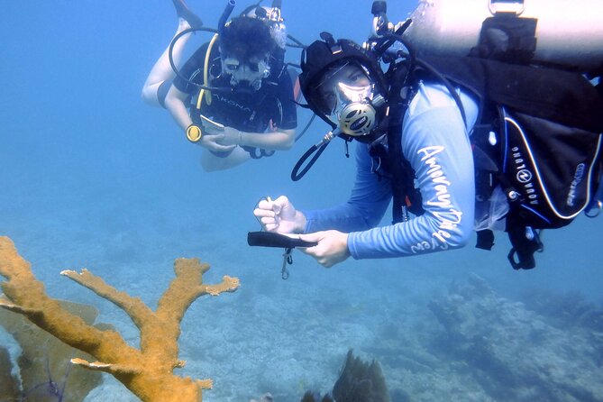 Half-Day Small-Group 2-Tank Scuba Dive in Key Largo (CERTIFIED DIVERS ONLY) - Certification, Fitness, and Confidence Rules