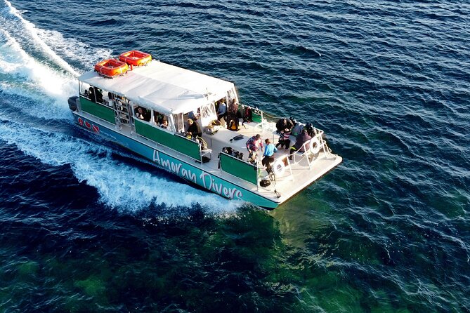 Half-Day Small-Group 2-Tank Scuba Dive in Key Largo (CERTIFIED DIVERS ONLY) - Who Will Enjoy This Key Largo Outing