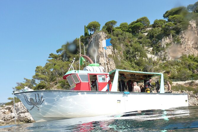 Half Day Snorkeling & Diving in Nice - What is included, and what costs extra