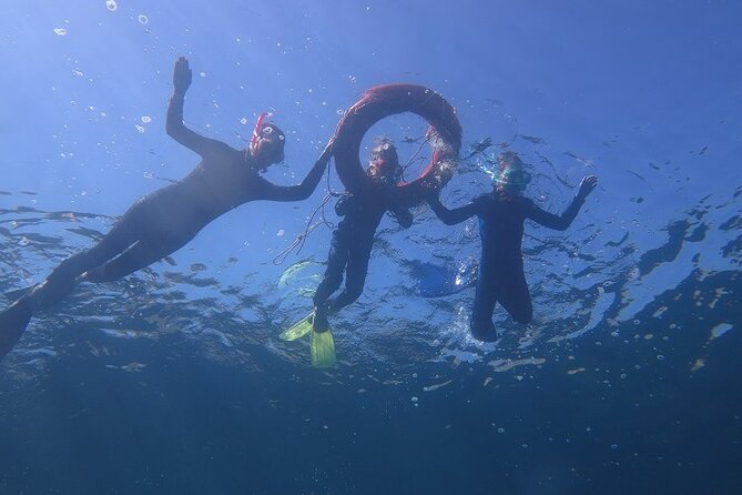 Half Day Snorkelling Experience with a dive boat in Kos Greece - The value of a five-and-a-half-hour outing