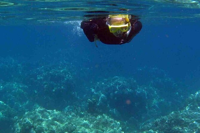 Half Day Snorkelling Experience with a dive boat in Kos Greece - Staff, briefing, and comfort on a windy day