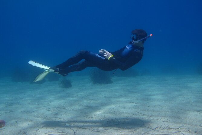 Half Day Snorkelling Experience with a dive boat in Kos Greece - Who will enjoy this trip most