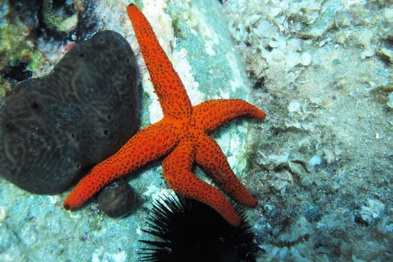 Halkidiki-Kassandra: Scuba Diving for Beginners - Riding to the Kassandra Peninsula