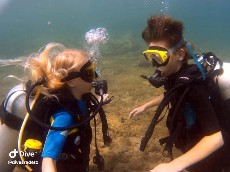 Halkidiki-Kassandra: Scuba Diving for Beginners - Marine life and the value of clear water
