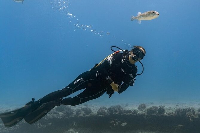 Hawaii DISCOVER Beginner + Certified 2 Tank Shallow Scuba Diving - Key Things to Know Before Booking