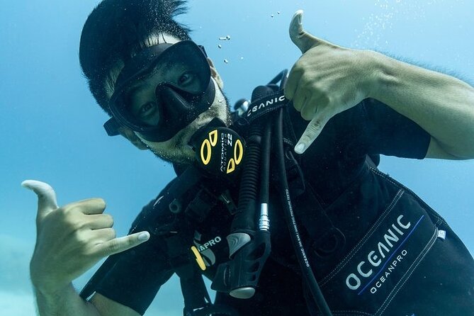 Hawaii DISCOVER Beginner + Certified 2 Tank Shallow Scuba Diving - The Second Session: More Freedom, Same Conditions