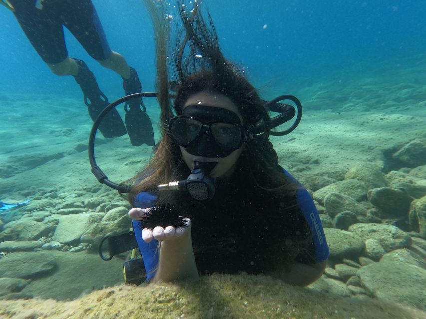 Heraklion: Beginner's intro dive w/2 Dives with transfer. - Who will enjoy this most?