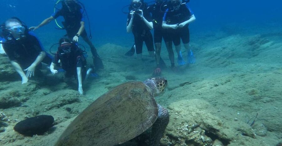 Heraklion: Beginner's intro dive w/2 Dives with transfer. - The morning pickup around Heraklion