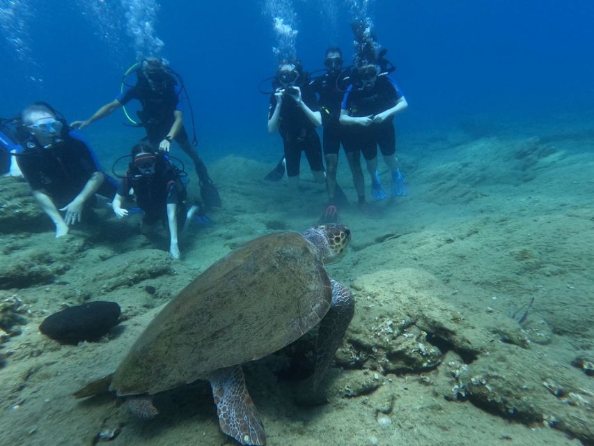 Heraklion: Beginner's intro dive w/2 Dives with transfer. - Getting comfortable before the first 45-minute session