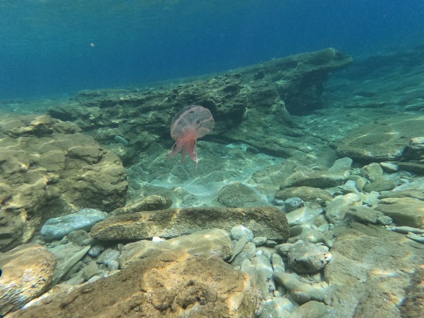 Heraklion: Beginner's intro dive w/2 Dives with transfer. - Instruction, languages, and group comfort