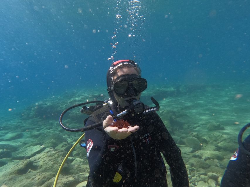 Heraklion: Beginner's intro dive w/2 Dives with transfer. - Is $165 a fair price?
