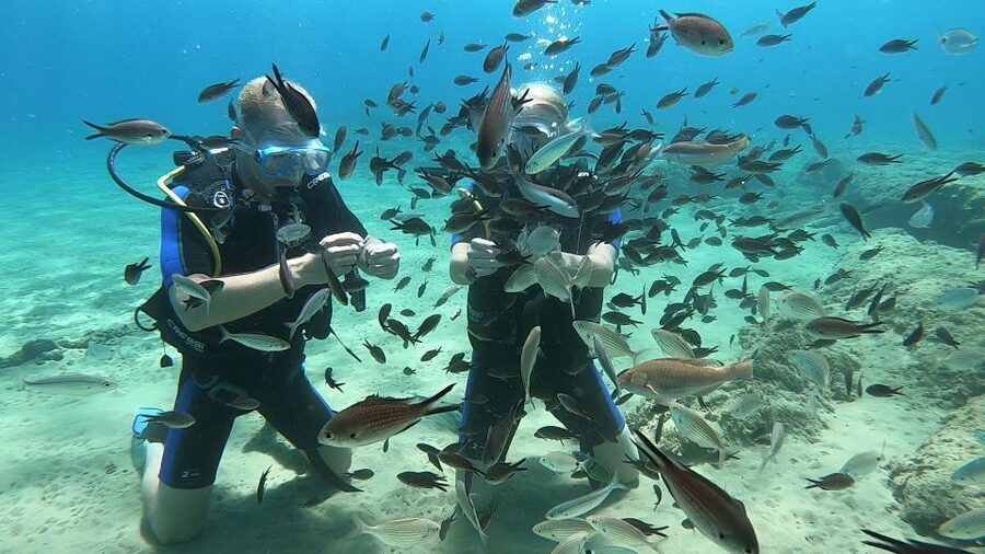 Heraklion: Beginner Scuba Diving Lesson with PADI Instructor - Who will get the most from this experience