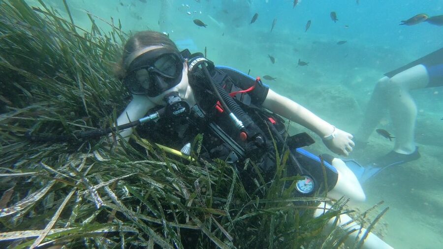 Heraklion: Beginner Scuba Diving Lesson with PADI Instructor - Agia Pelagia Bay: a calm place for your first session