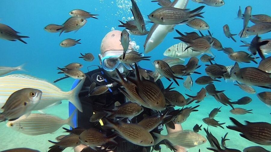 Heraklion: Beginner Scuba Diving Lesson with PADI Instructor - The staff’s strongest quality: patience
