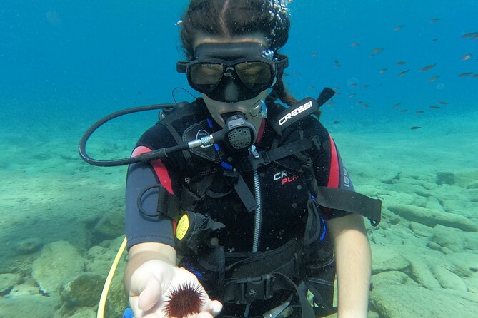 Heraklion: Scuba Diving Experience for Beginners - Agia Pelagia Beach and the underwater route
