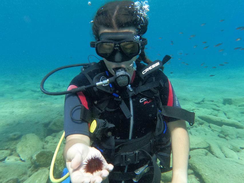 Heraklion: Scuba Diving Experience for Beginners _Beach - Who Will Enjoy This Most?