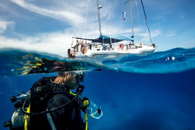 Heraklion: Scuba Diving Experience for First-Timers - Key points at a glance